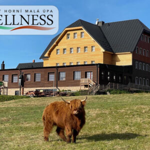Pobyt u Sněžky s wellness a snídaní